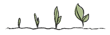 Drawing of growing seeds